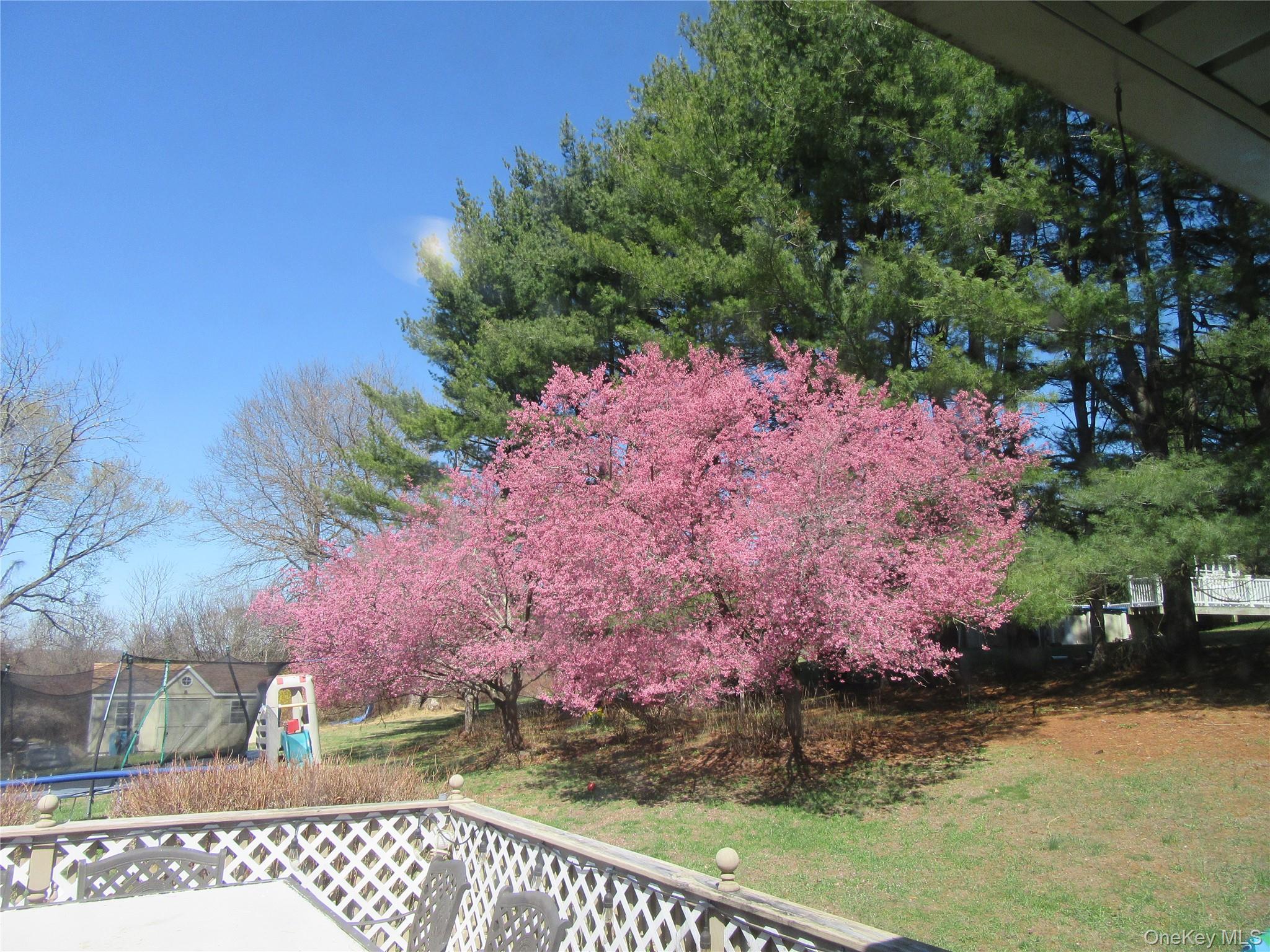 #3 photo, 29 Beattie Road, Washingtonville , NY 10992