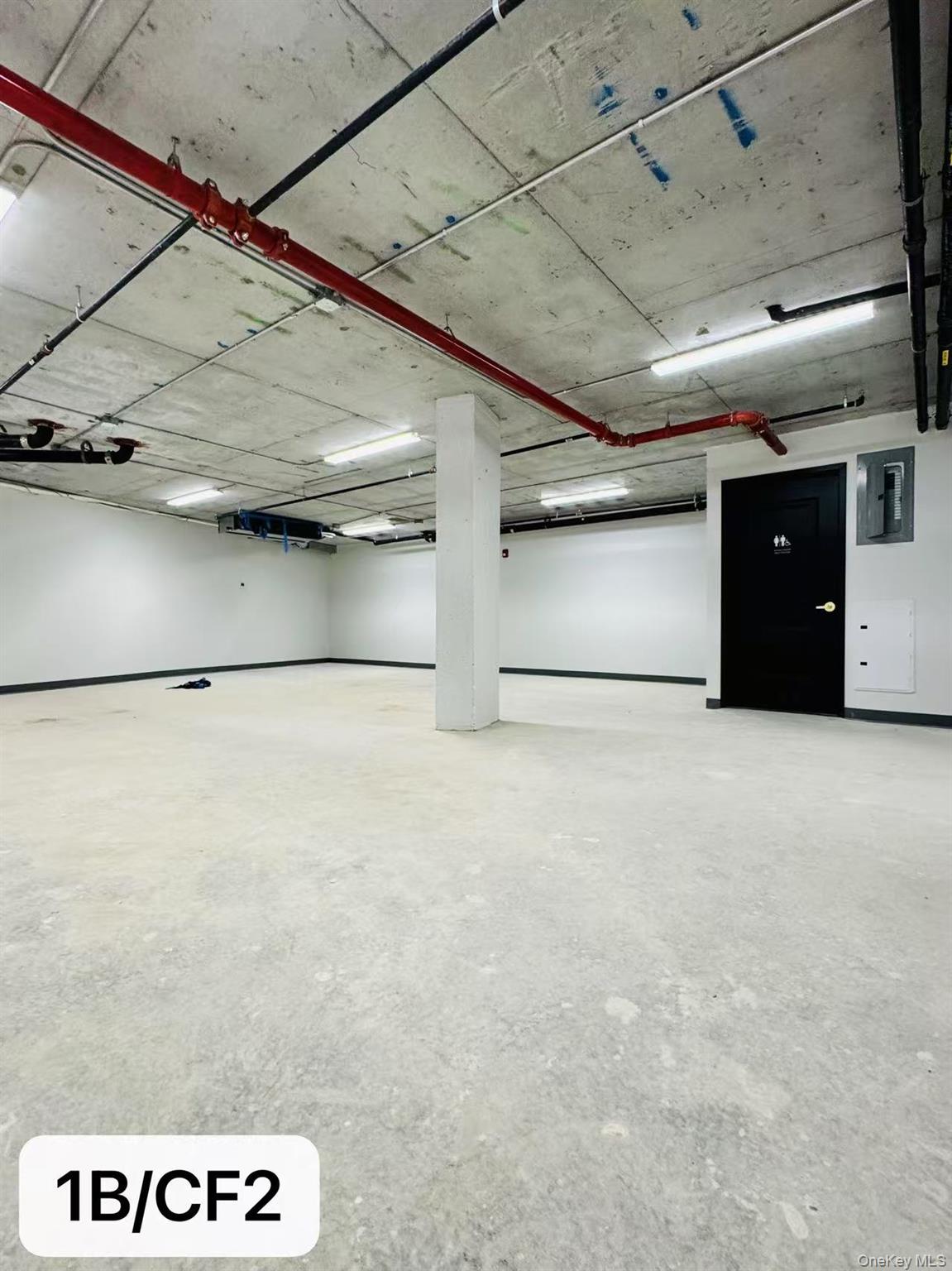 #12 photo, 43-20 52nd Street, クイーンズ区 Woodside , NY 11377