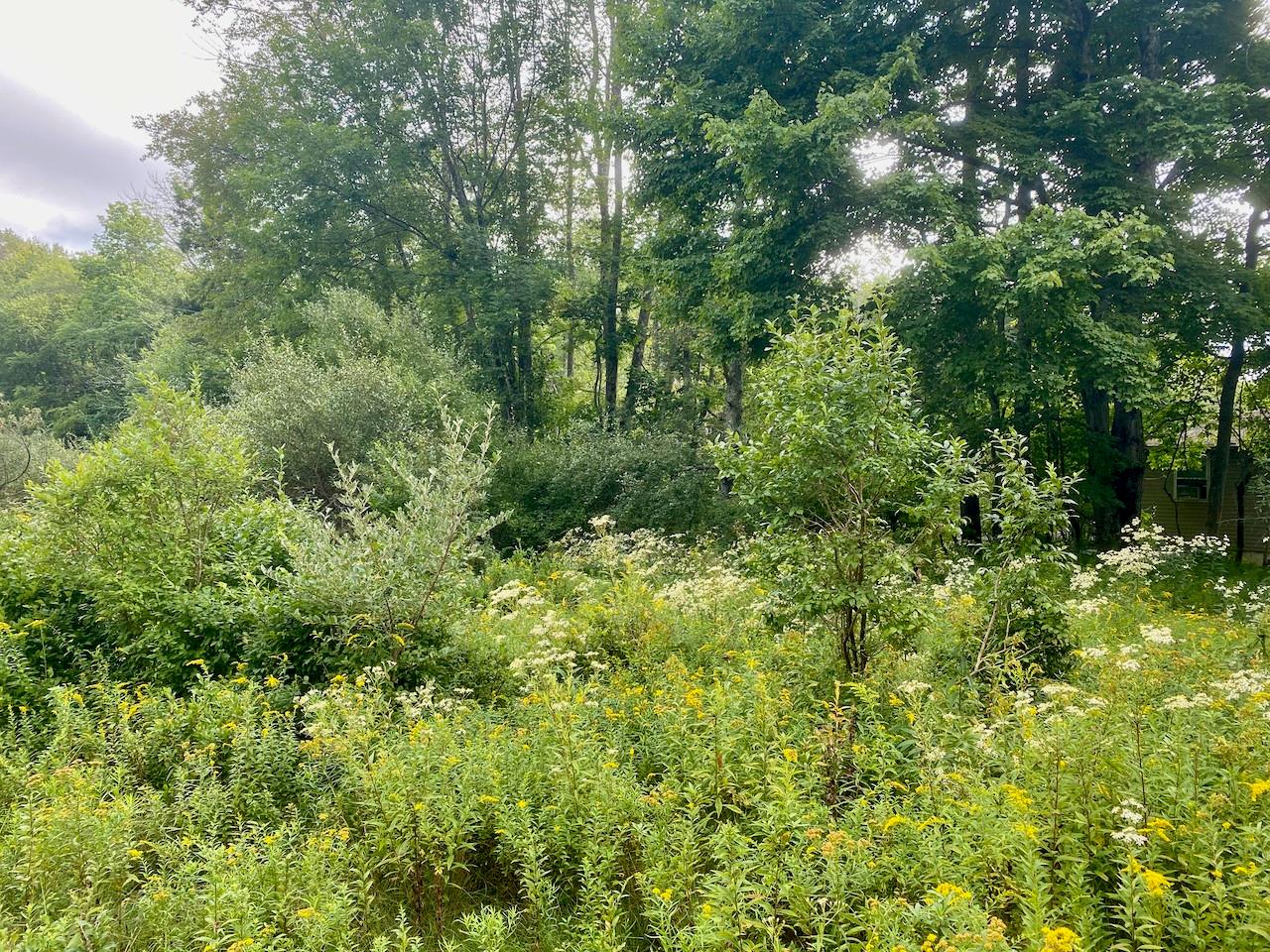 #10 photo, 2840 Route 55, Bethel , NY 12720