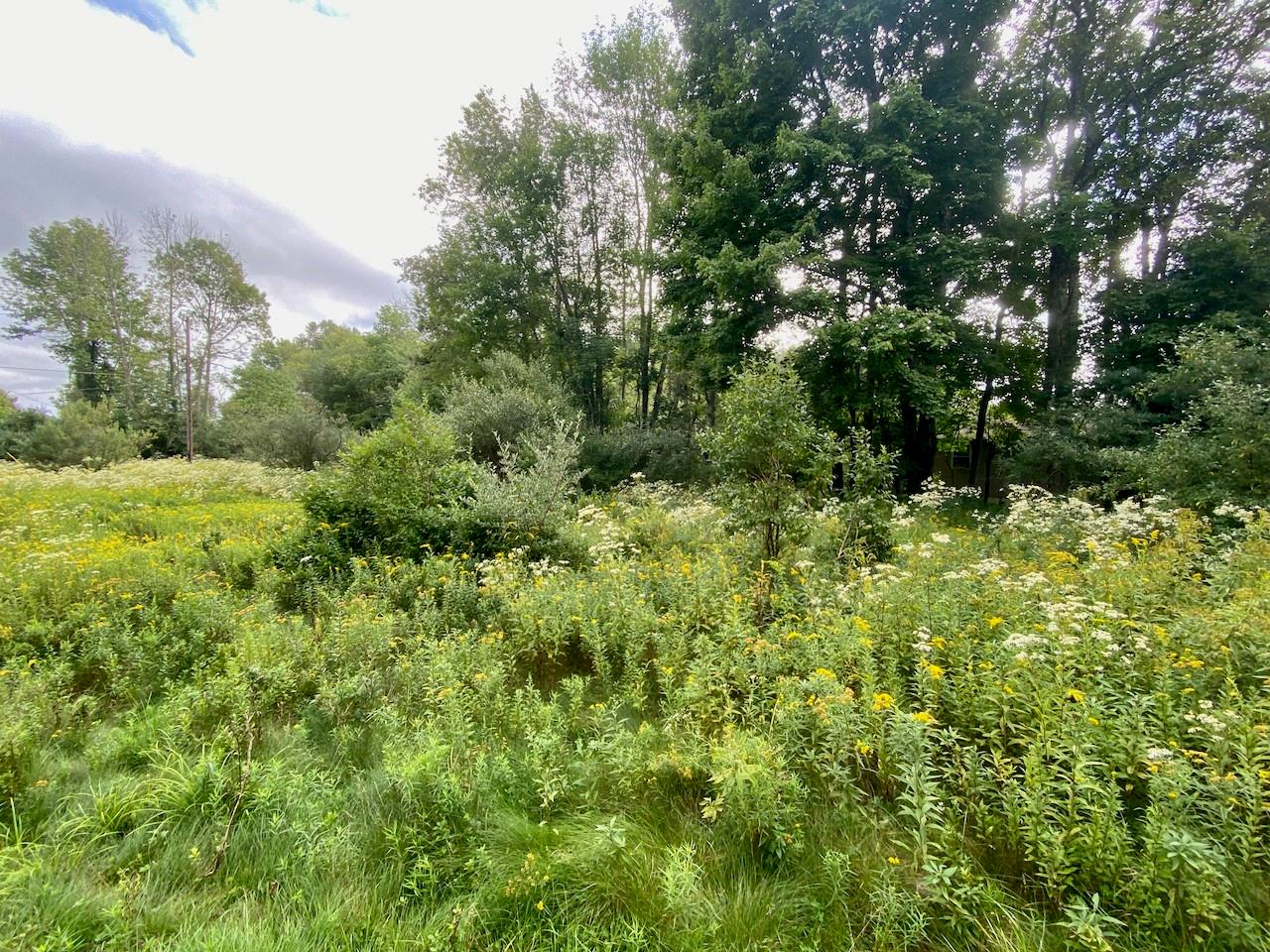 #11 photo, 2840 Route 55, Bethel , NY 12720