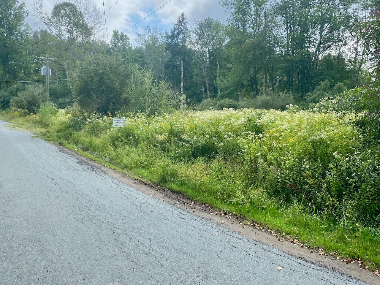 #17 photo, 2840 Route 55, Bethel , NY 12720