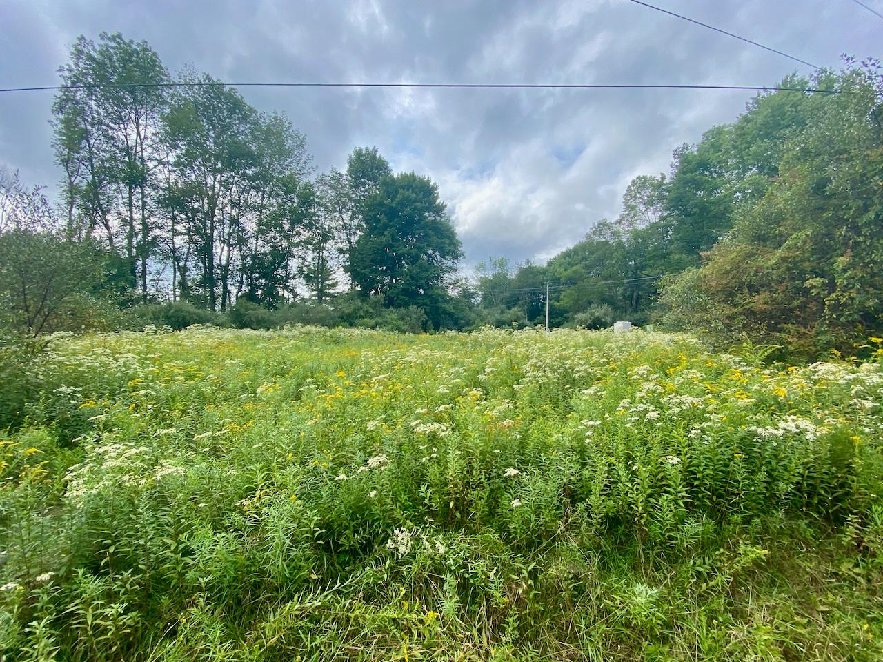 #20 photo, 2840 Route 55, Bethel , NY 12720