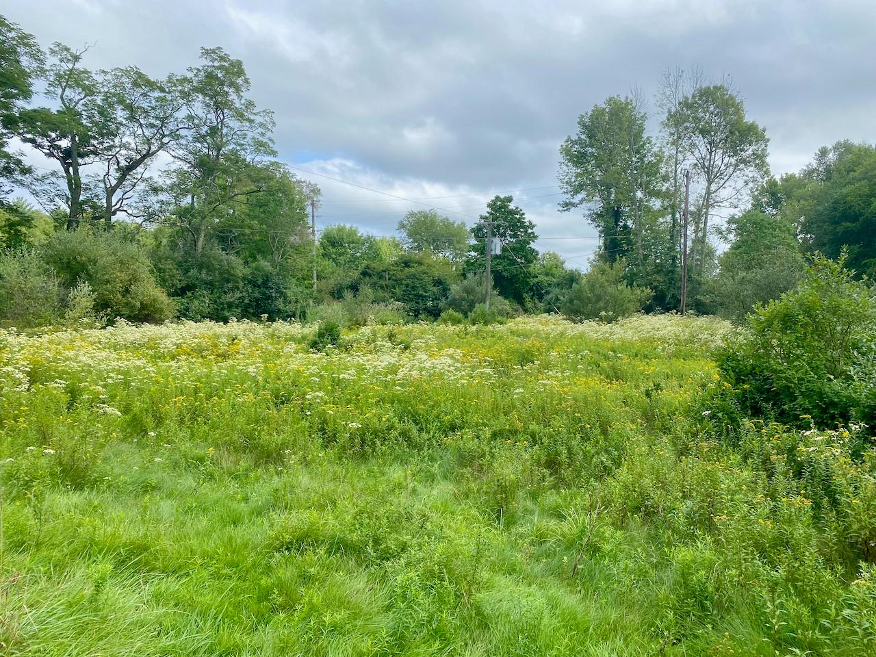 #4 photo, 2840 Route 55, Bethel , NY 12720