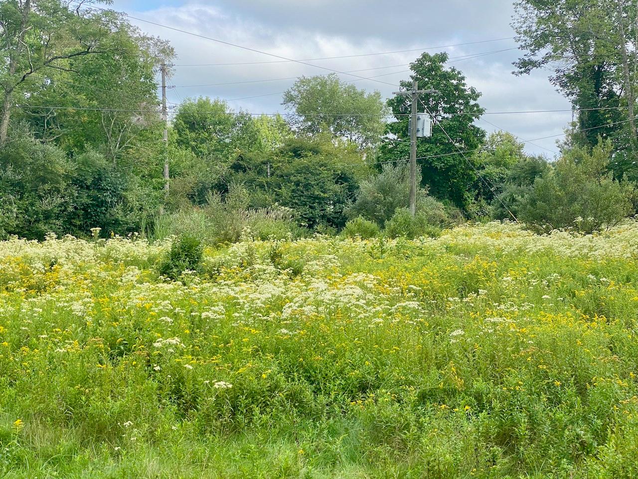 #5 photo, 2840 Route 55, Bethel , NY 12720