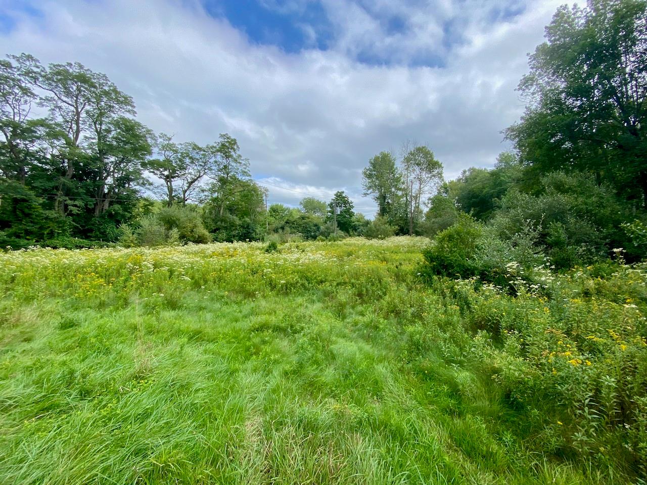 #6 photo, 2840 Route 55, Bethel , NY 12720