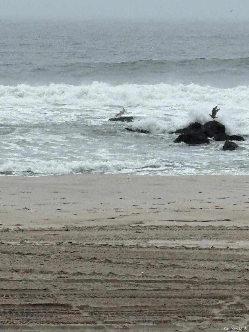 #19 photo, 223 E Broadway, ナッソー郡 Long Beach , NY 11561