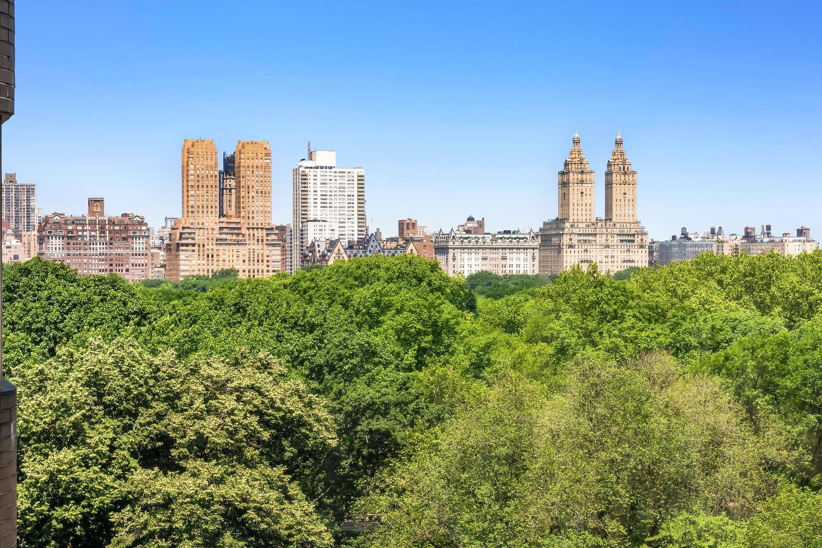 #17 photo, 875 5TH Avenue, マンハッタン Lenox Hill , NY 10065