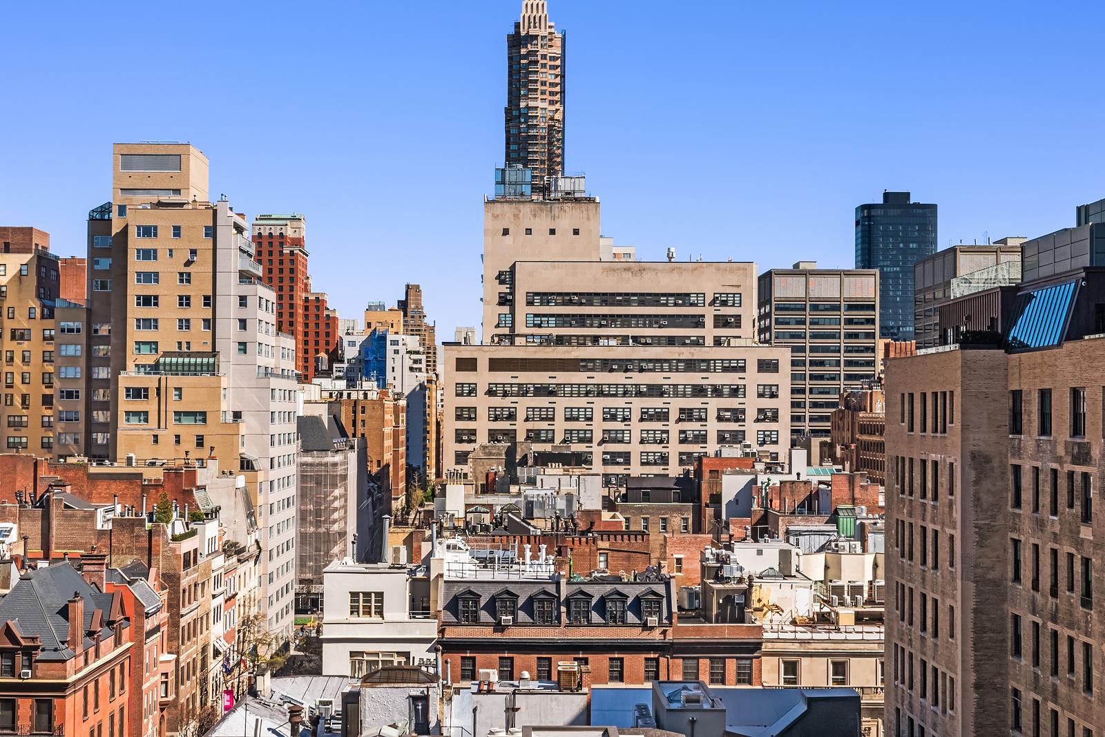 #18 photo, 875 5TH Avenue, マンハッタン Lenox Hill , NY 10065