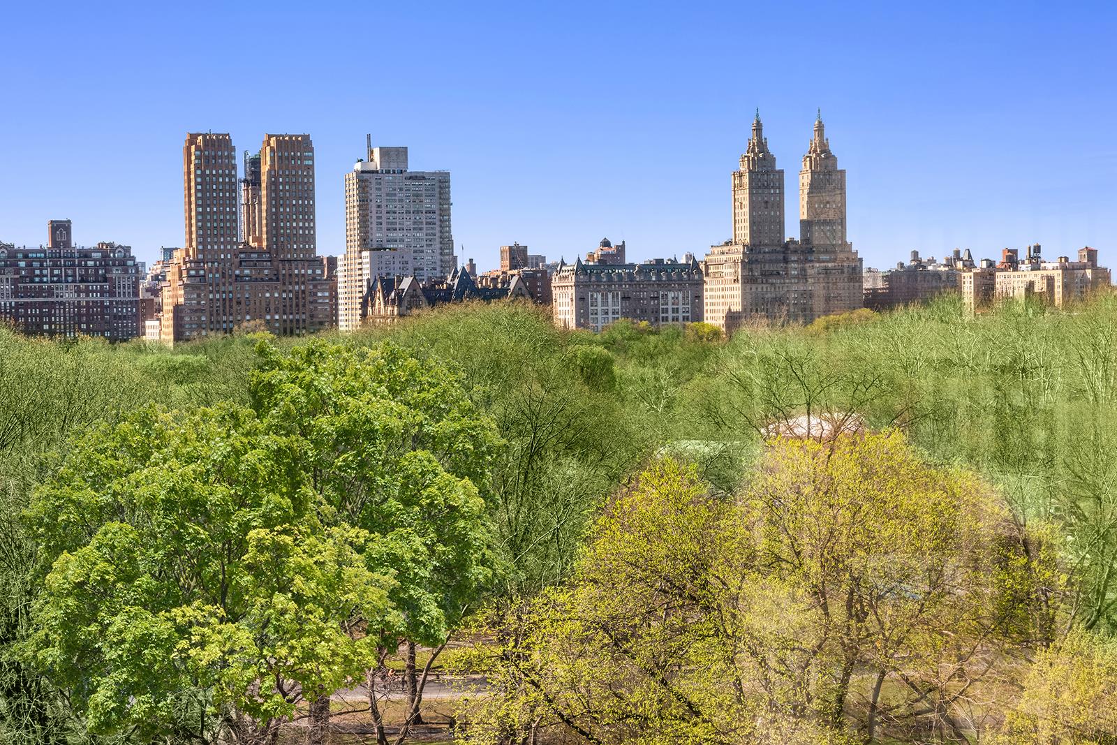 #8 photo, 875 5TH Avenue, マンハッタン Lenox Hill , NY 10065