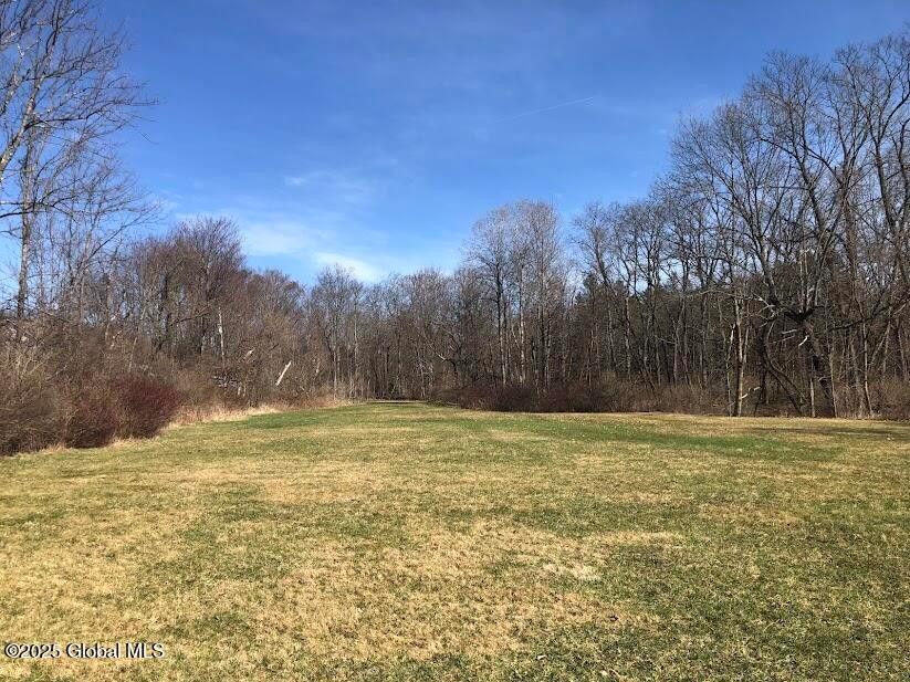 #19 photo, 21920 NY-22, Call Listing Agent , NY 12090