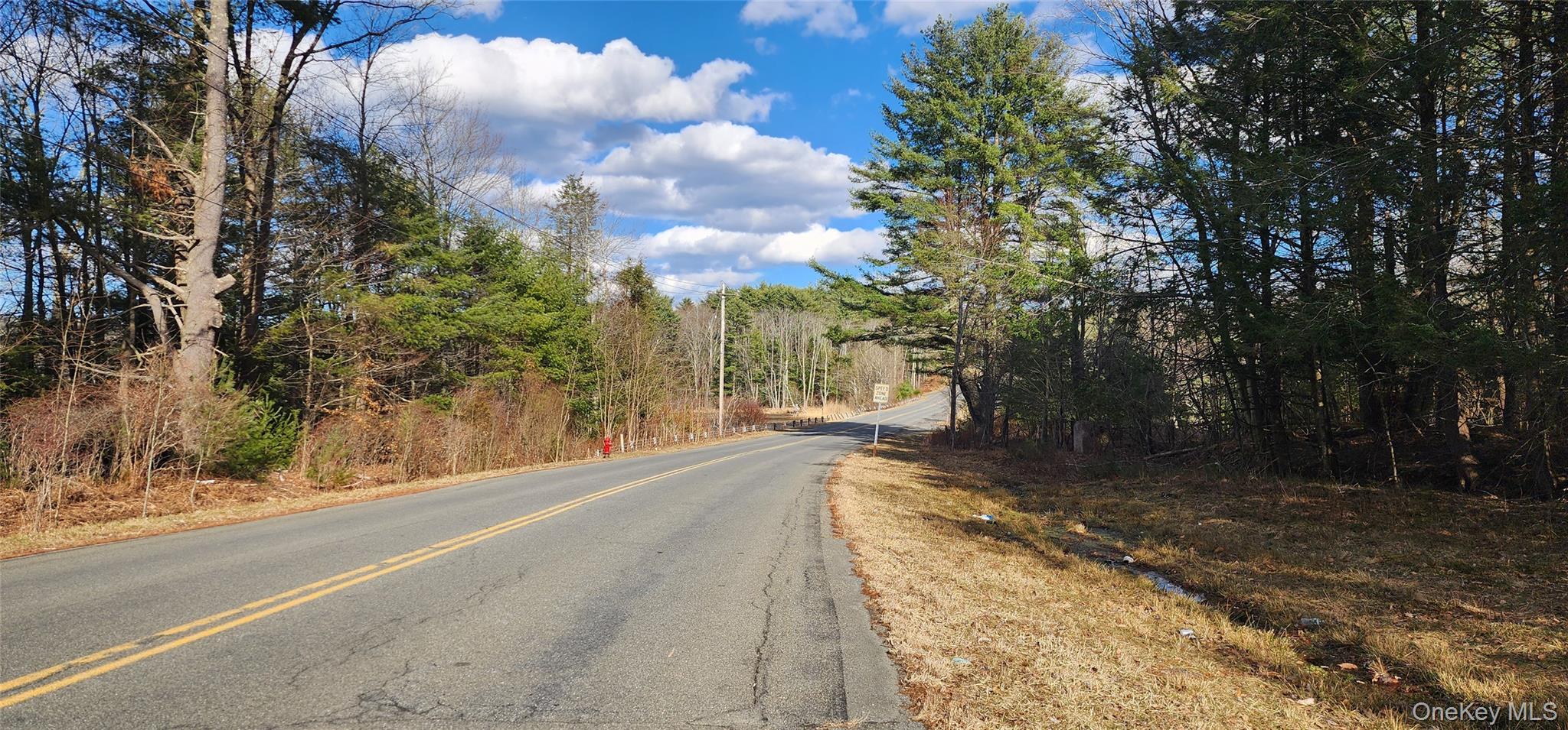 #10 photo, 42 Concord Road, Kiamesha Lake , NY 12751