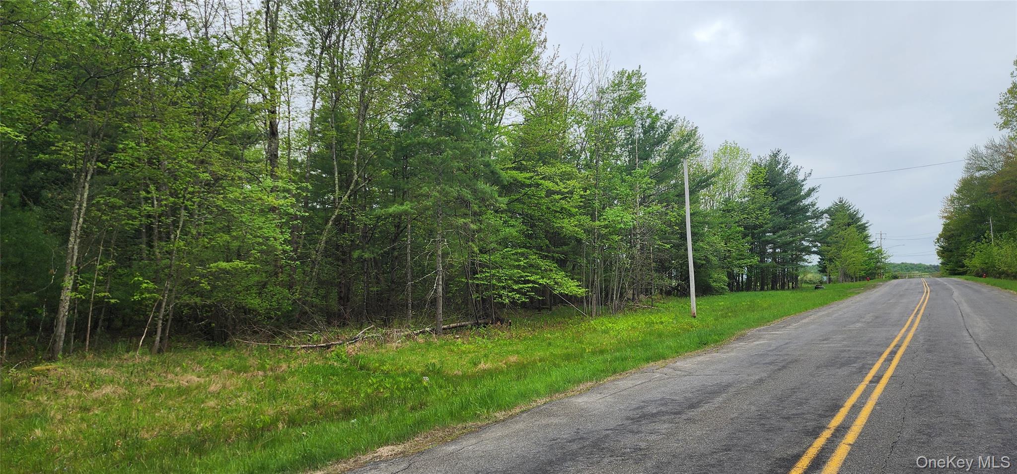 #11 photo, 42 Concord Road, Kiamesha Lake , NY 12751