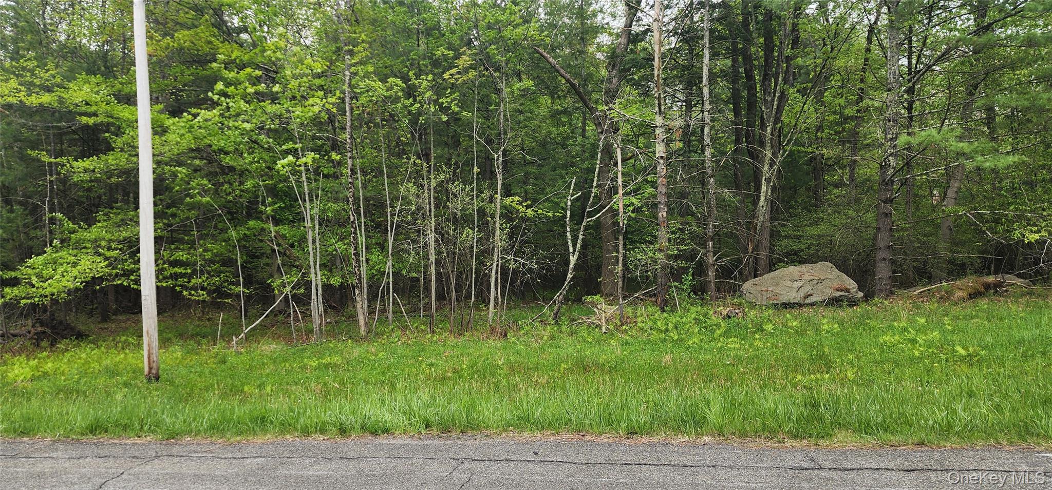 #12 photo, 42 Concord Road, Kiamesha Lake , NY 12751