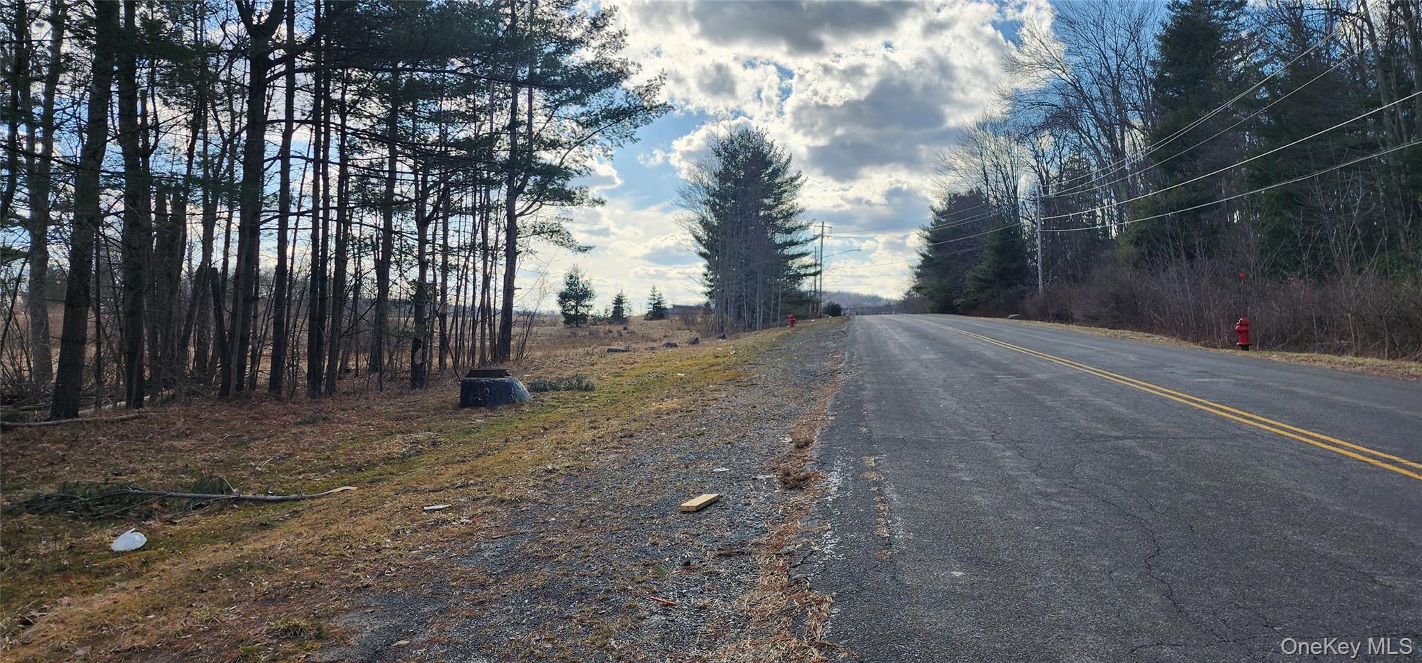 #2 photo, 42 Concord Road, Kiamesha Lake , NY 12751