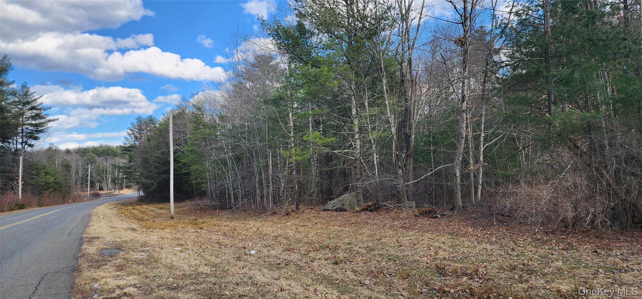 #3 photo, 42 Concord Road, Kiamesha Lake , NY 12751