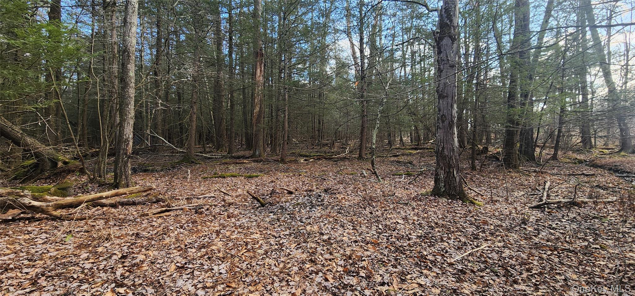 #4 photo, 42 Concord Road, Kiamesha Lake , NY 12751