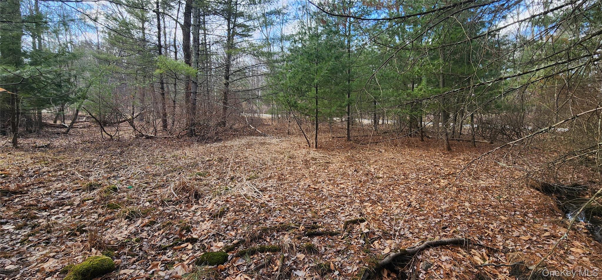 #5 photo, 42 Concord Road, Kiamesha Lake , NY 12751