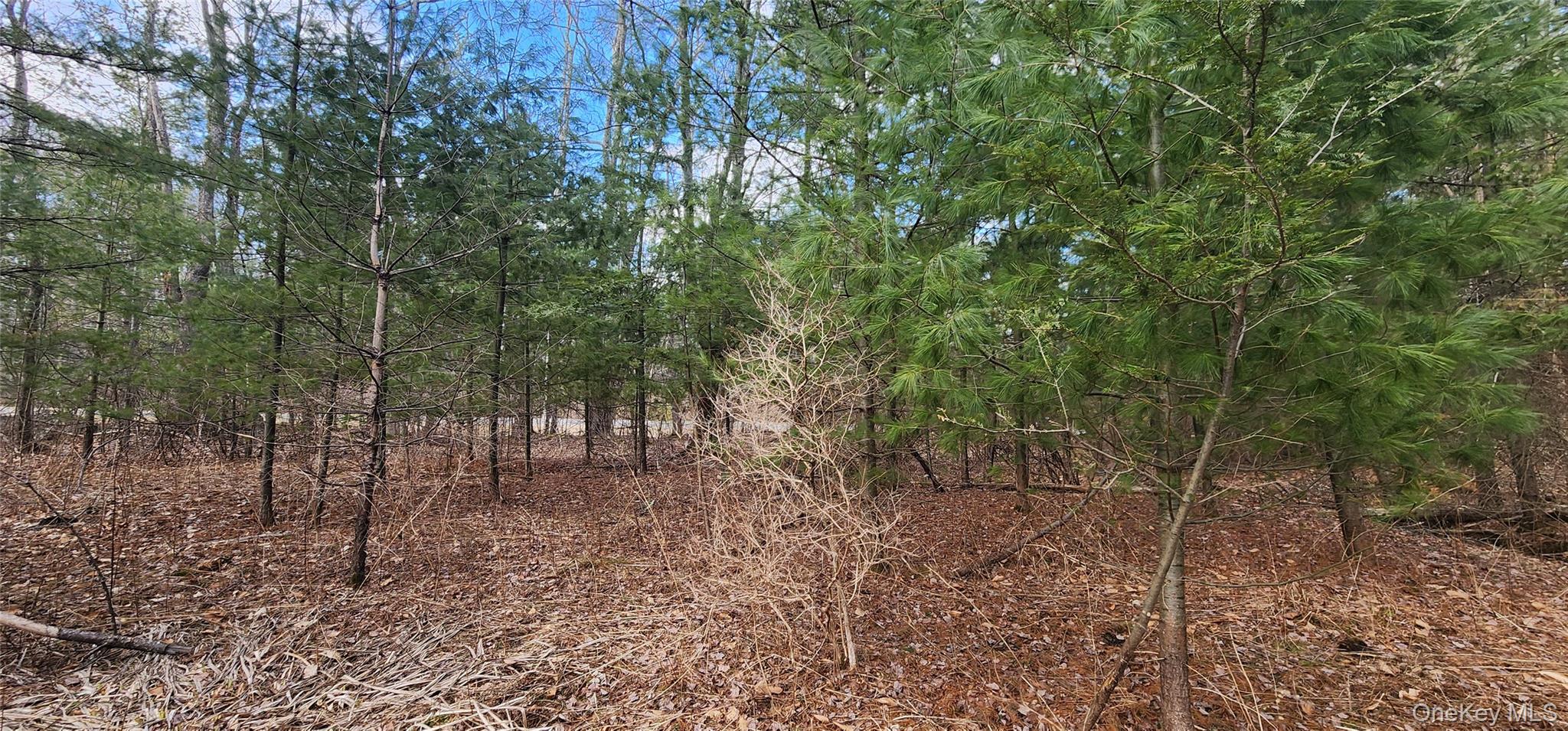 #6 photo, 42 Concord Road, Kiamesha Lake , NY 12751