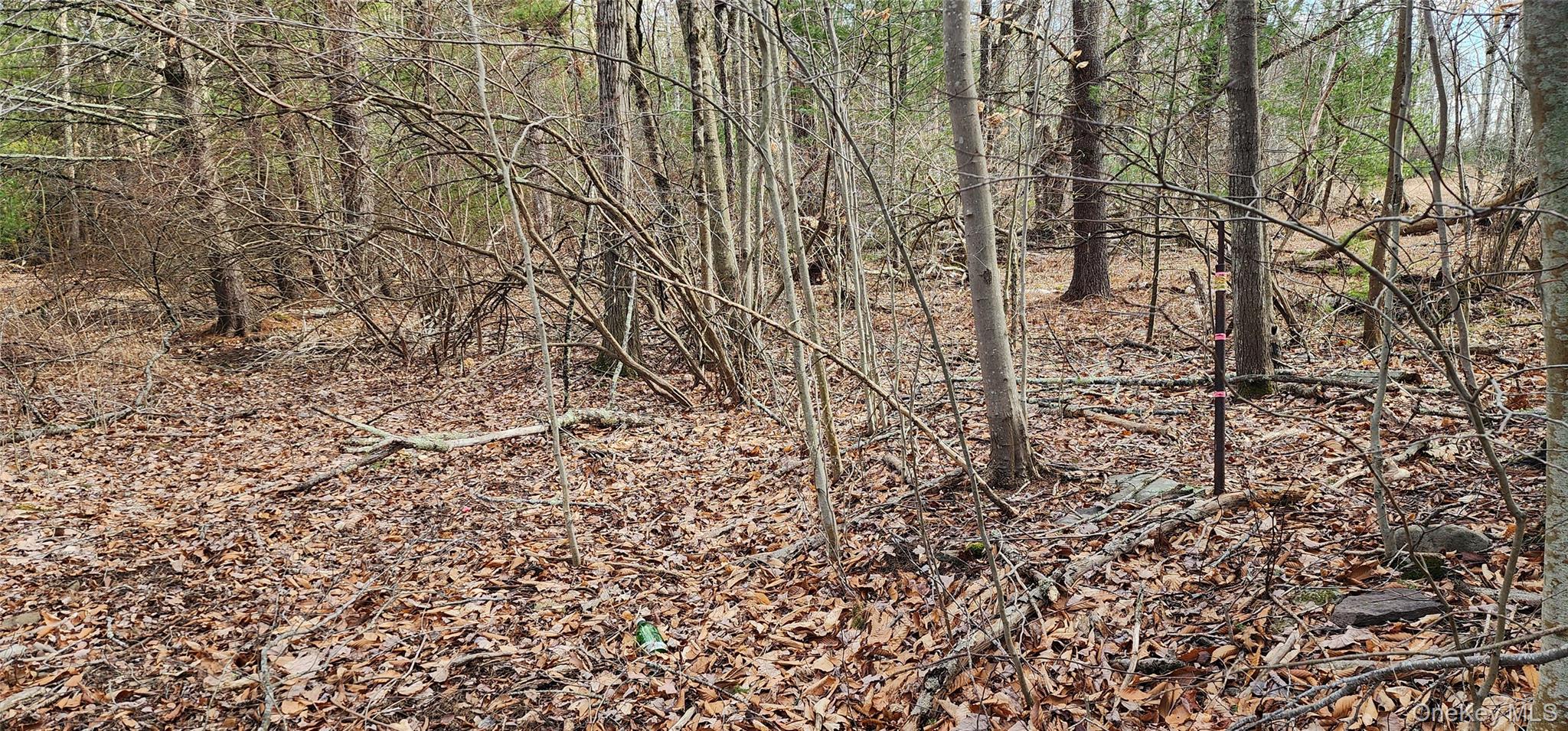 #7 photo, 42 Concord Road, Kiamesha Lake , NY 12751