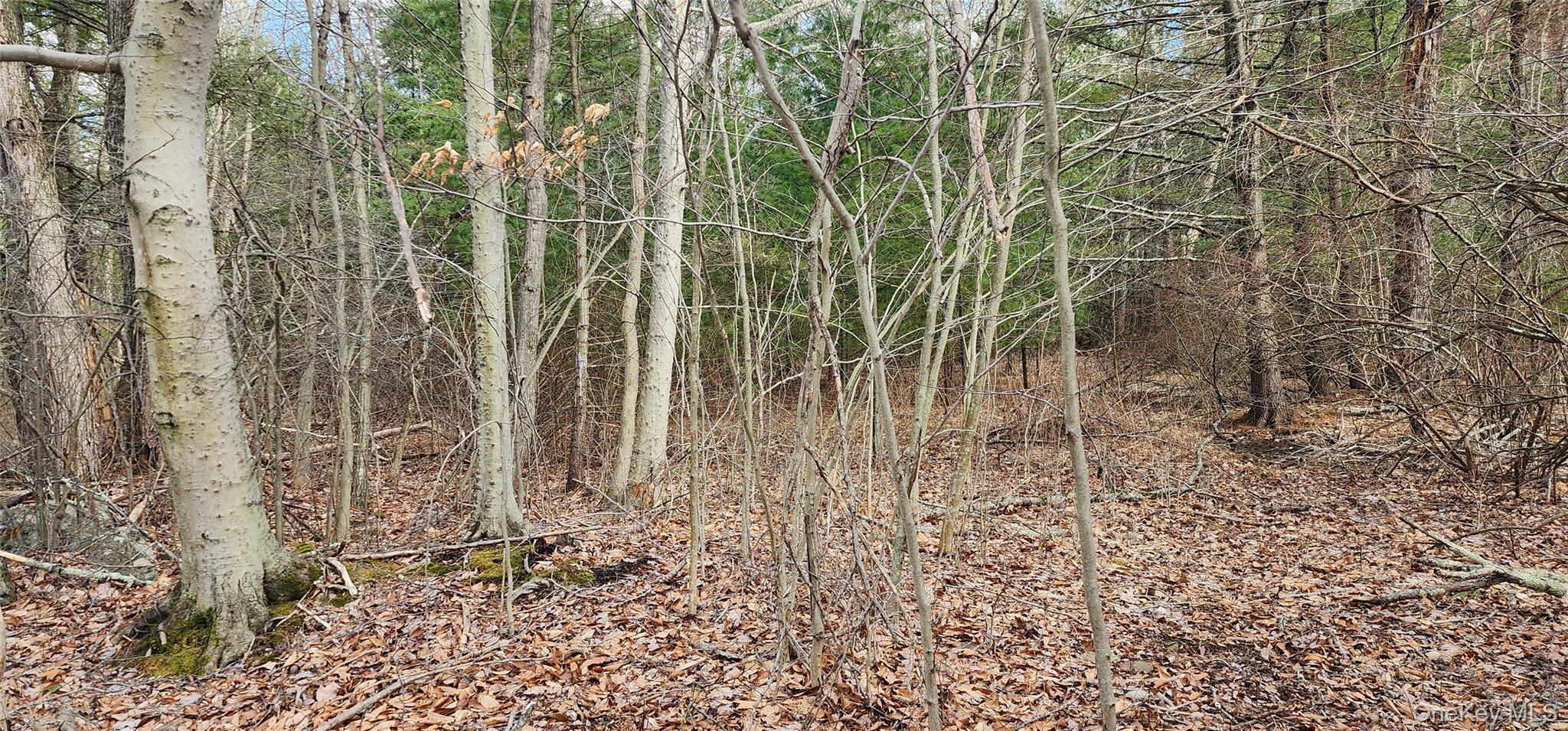 #8 photo, 42 Concord Road, Kiamesha Lake , NY 12751