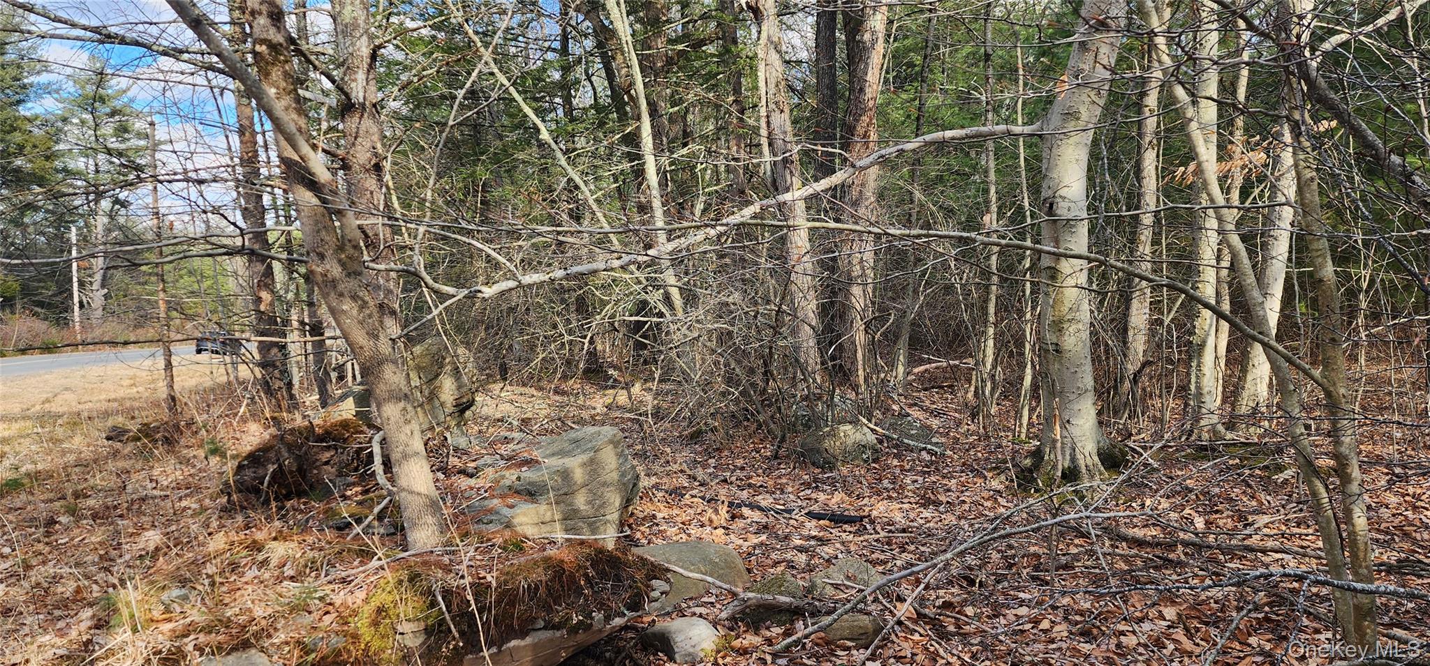 #9 photo, 42 Concord Road, Kiamesha Lake , NY 12751