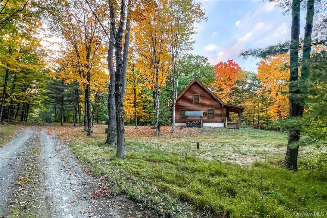 #18 photo, 390 Ridge Road, Stuyvesant , NY 12156