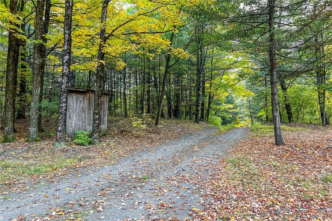 #20 photo, 390 Ridge Road, Stuyvesant , NY 12156