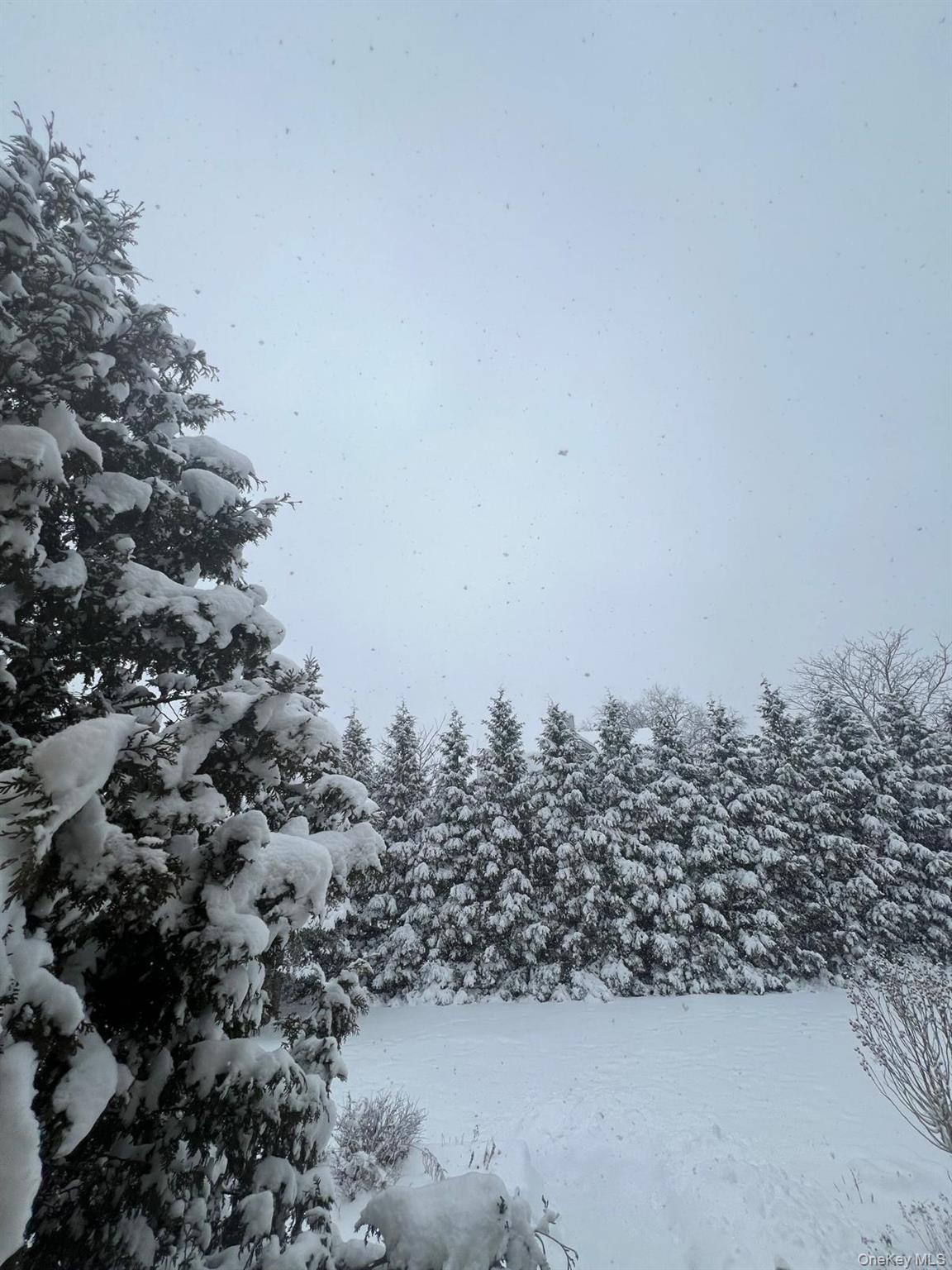 #6 photo, 23 Cooley Road, Parksville , NY 12768