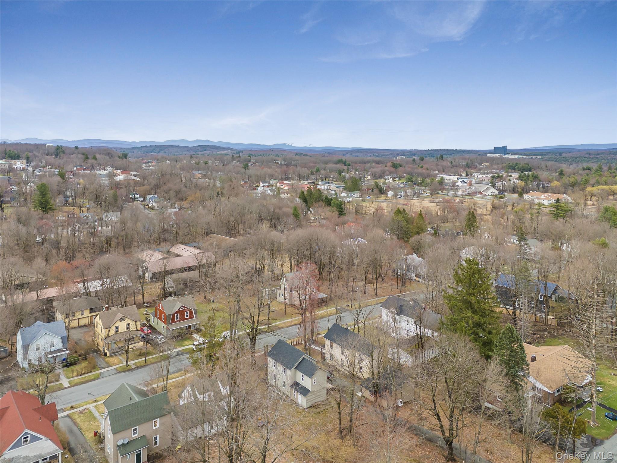 #10 photo, 59 Clinton Avenue, Monticello , NY 12701