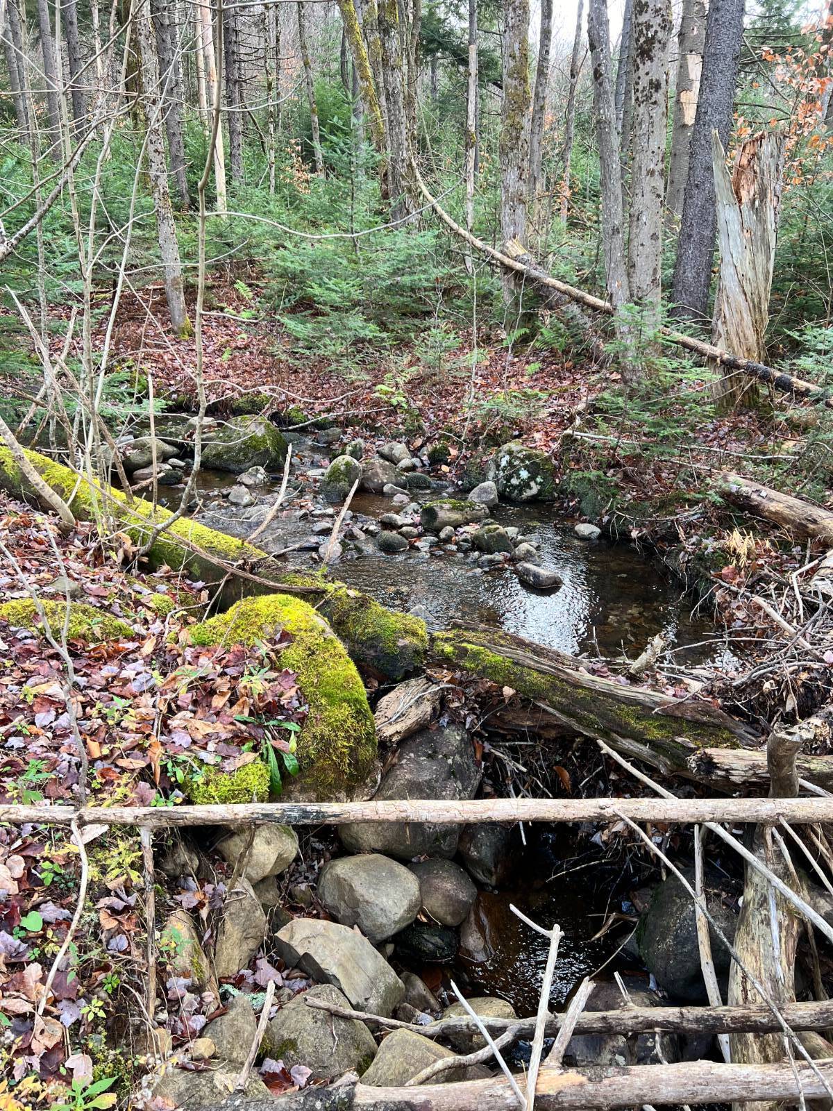 #13 photo, 774 State Route 8 Rd, Hoffmeister , NY 13353