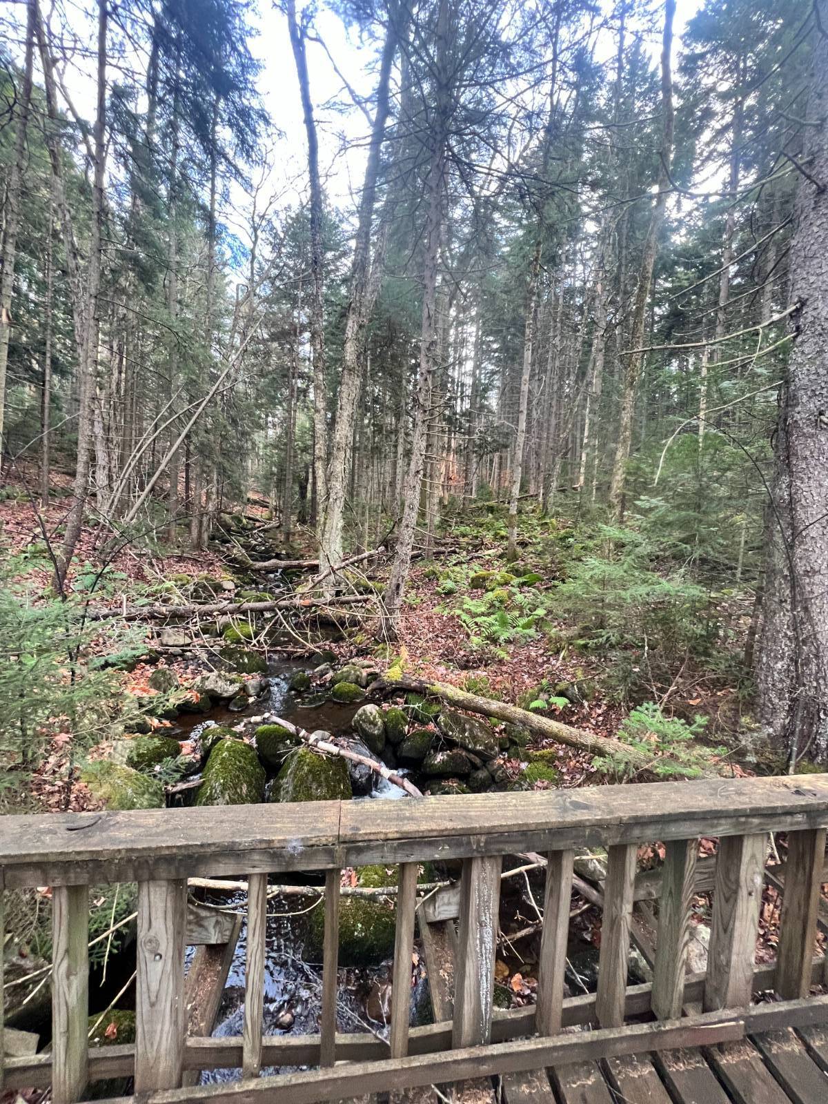 #14 photo, 774 State Route 8 Rd, Hoffmeister , NY 13353