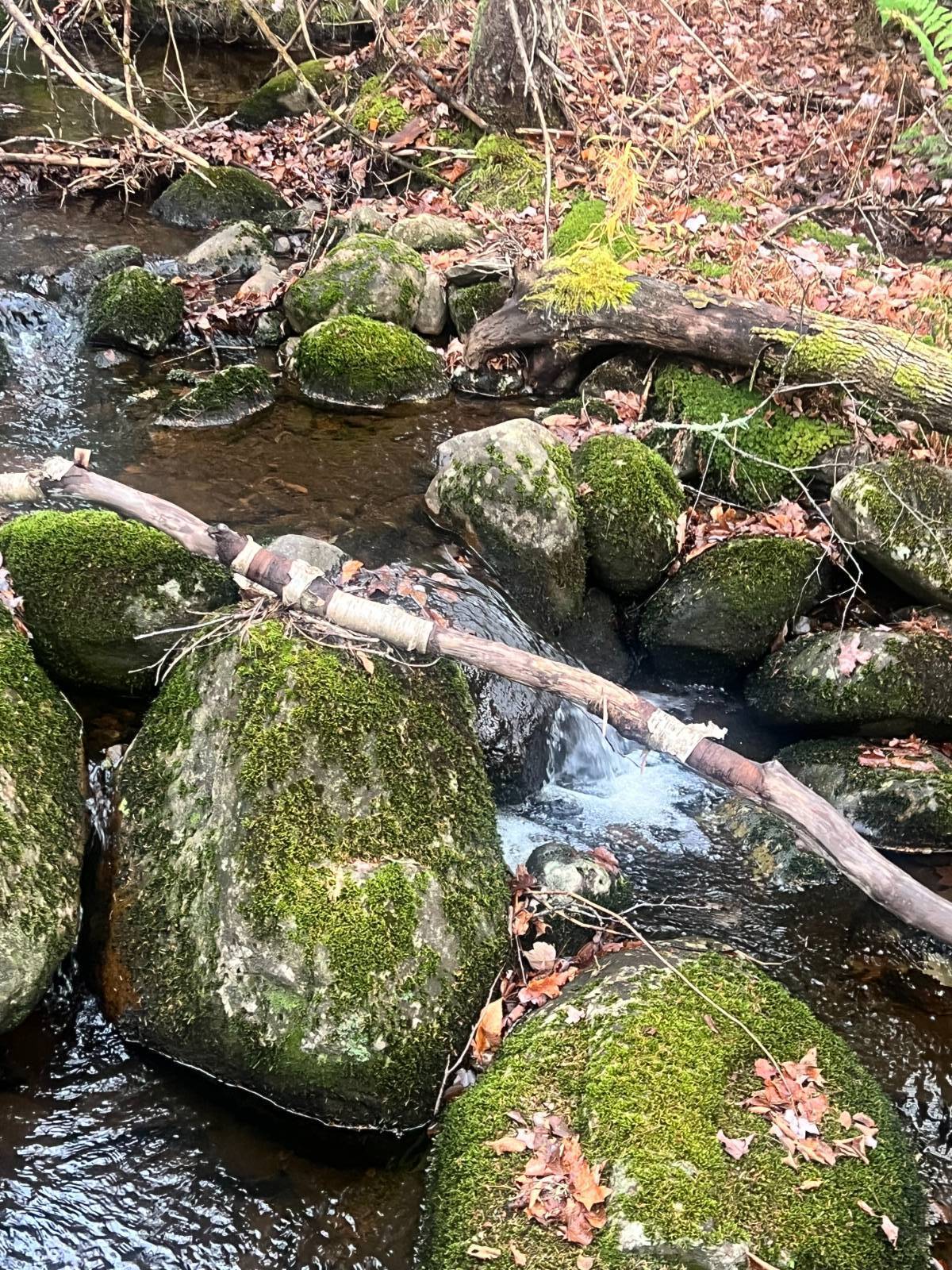 #16 photo, 774 State Route 8 Rd, Hoffmeister , NY 13353