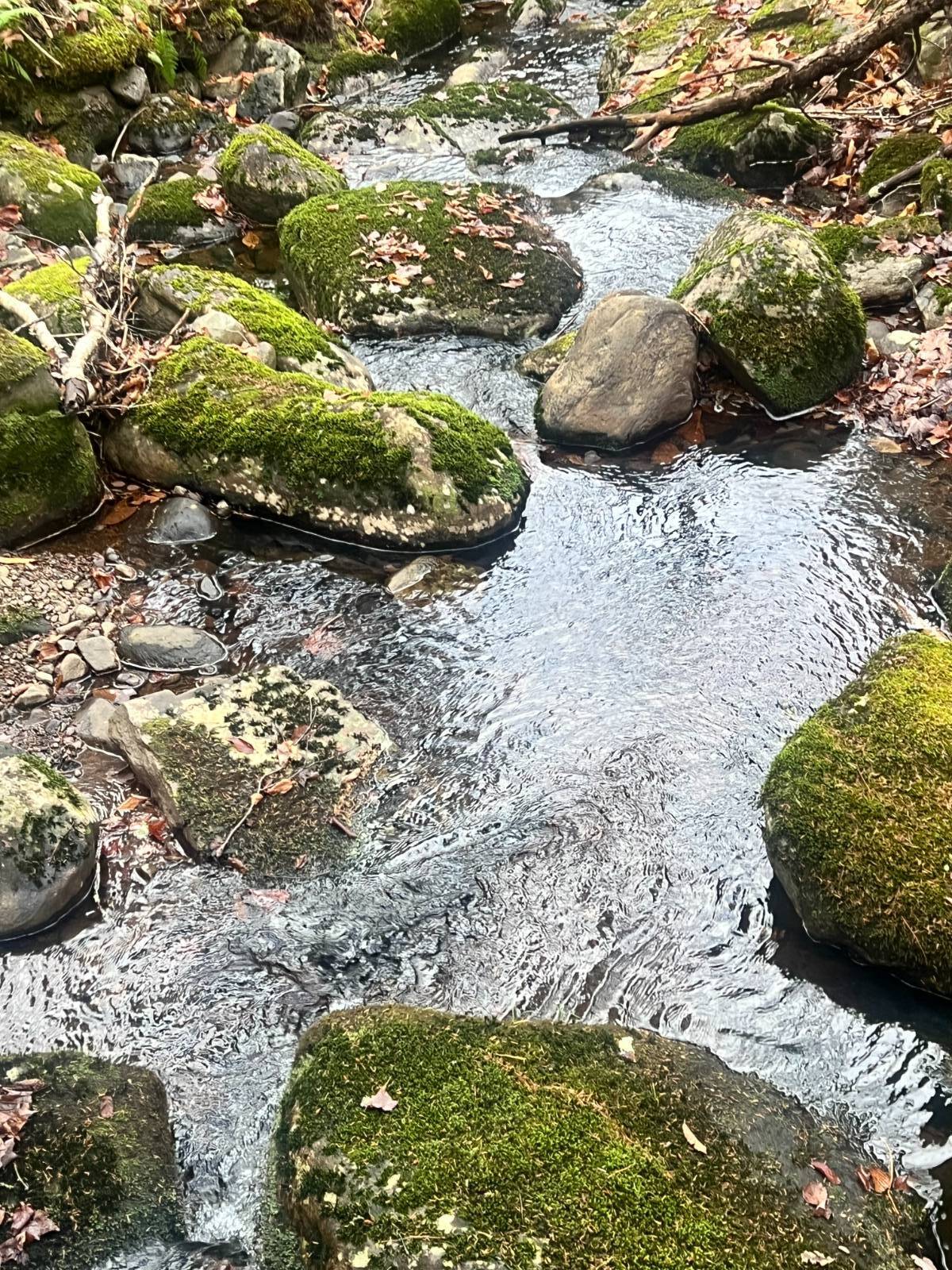 #17 photo, 774 State Route 8 Rd, Hoffmeister , NY 13353