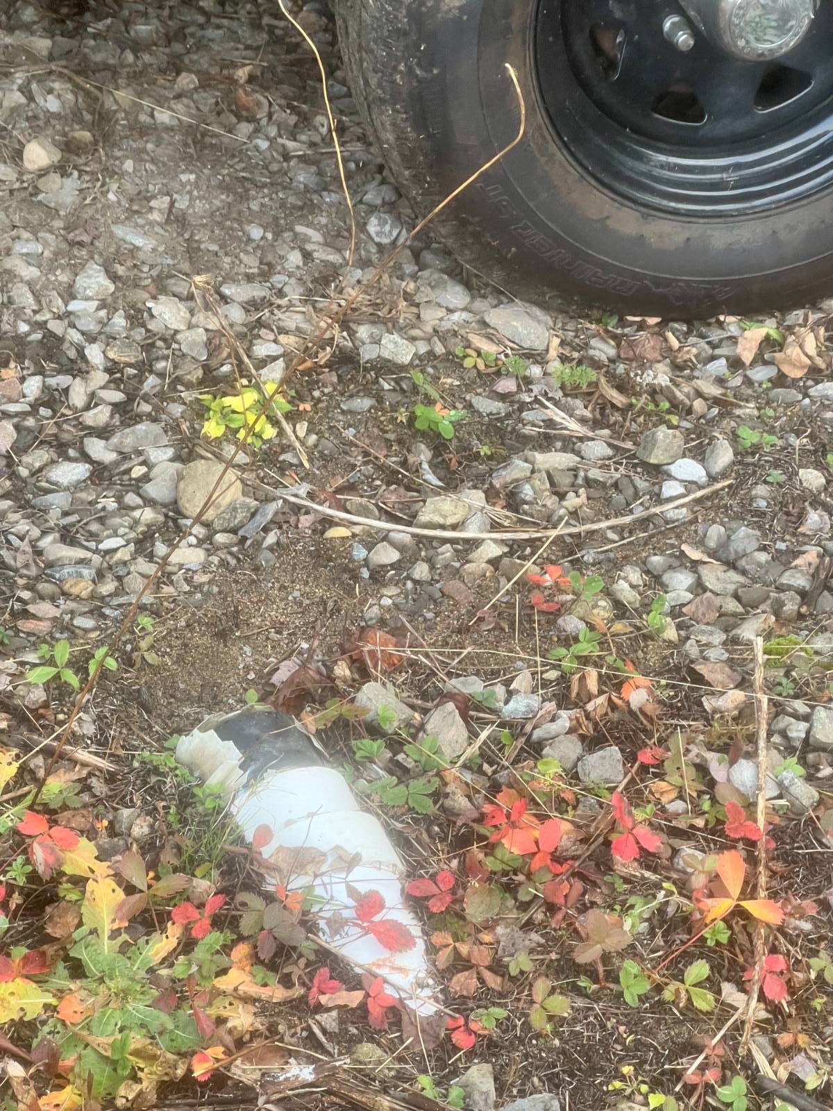 #7 photo, 774 State Route 8 Rd, Hoffmeister , NY 13353