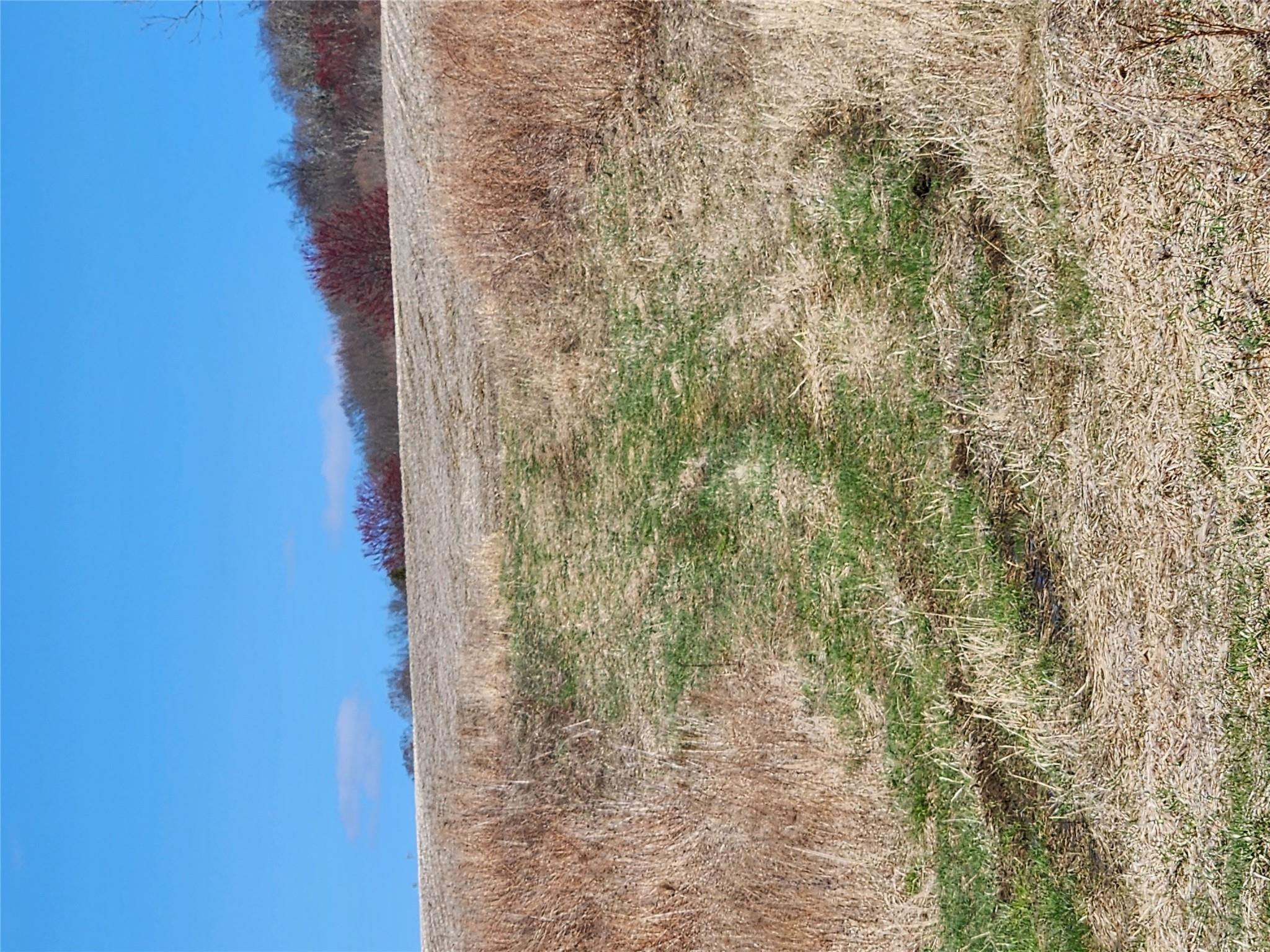 #10 photo, 28 Yellow City Road, Amenia , NY 