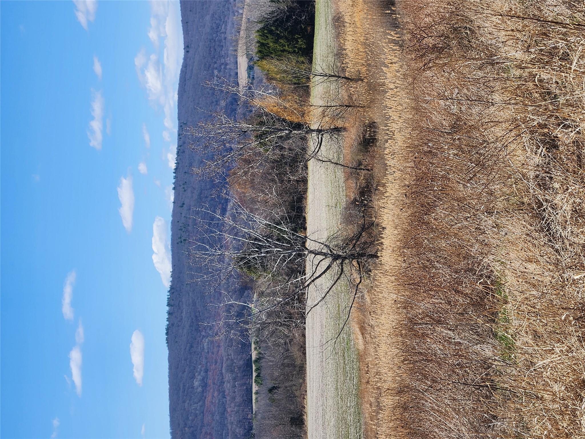 #14 photo, 28 Yellow City Road, Amenia , NY 