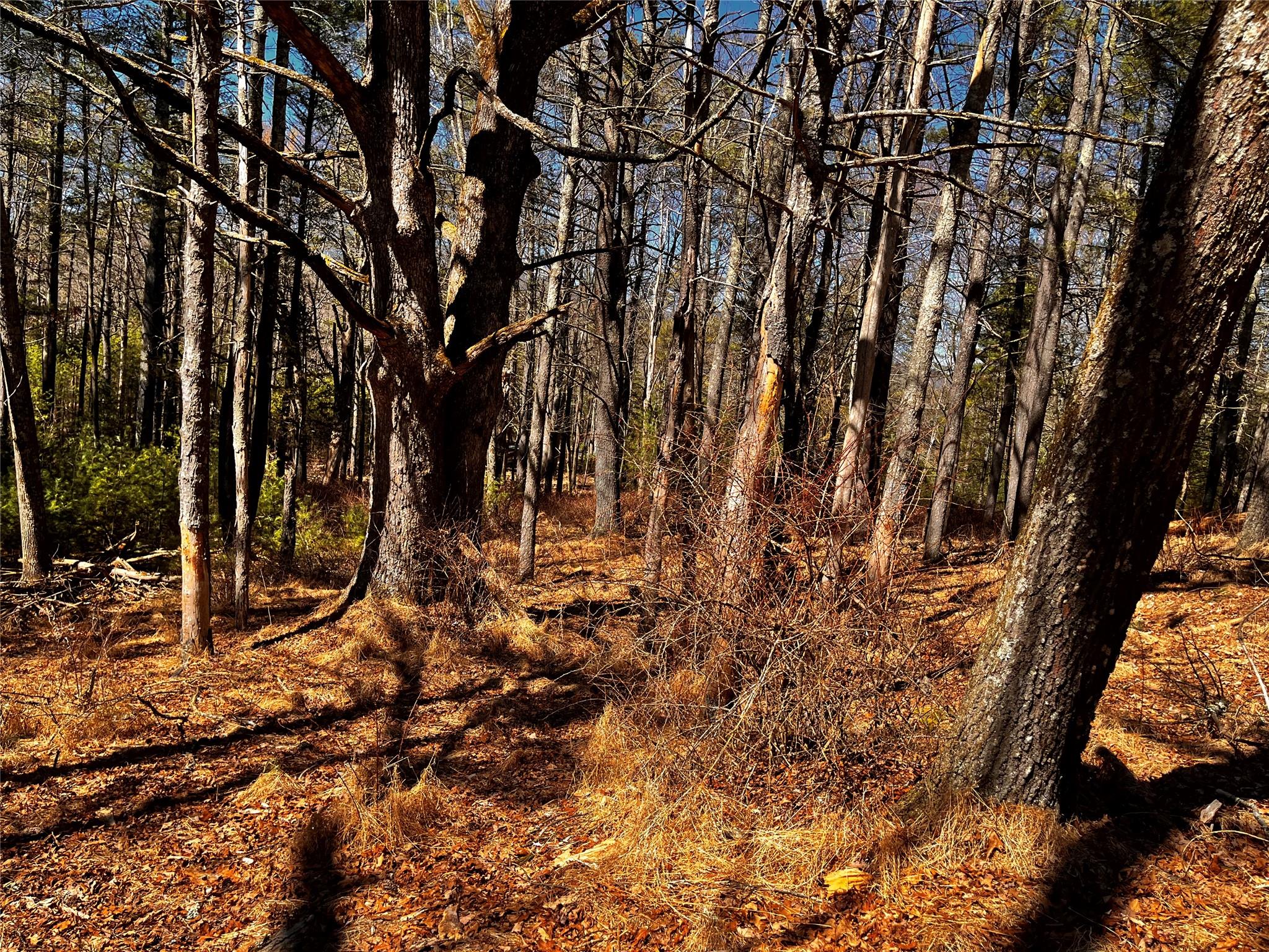 #12 photo, 1145 Glasco Turnpike, Saugerties , NY 12477