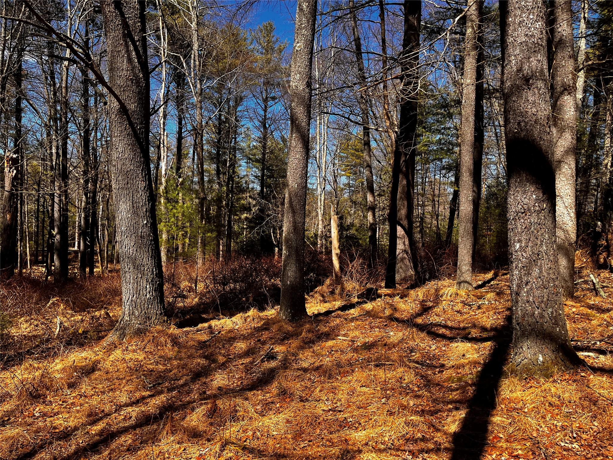 #13 photo, 1145 Glasco Turnpike, Saugerties , NY 12477