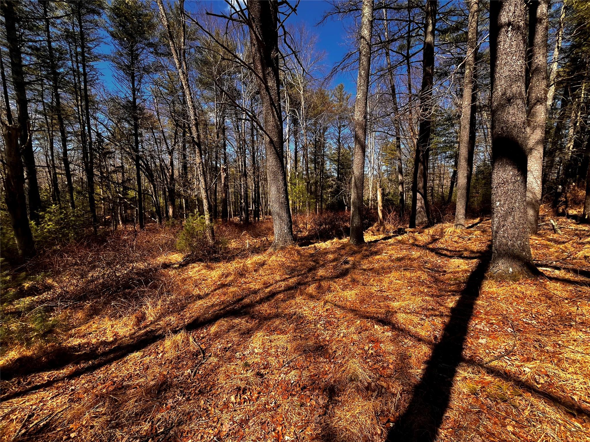 #14 photo, 1145 Glasco Turnpike, Saugerties , NY 12477