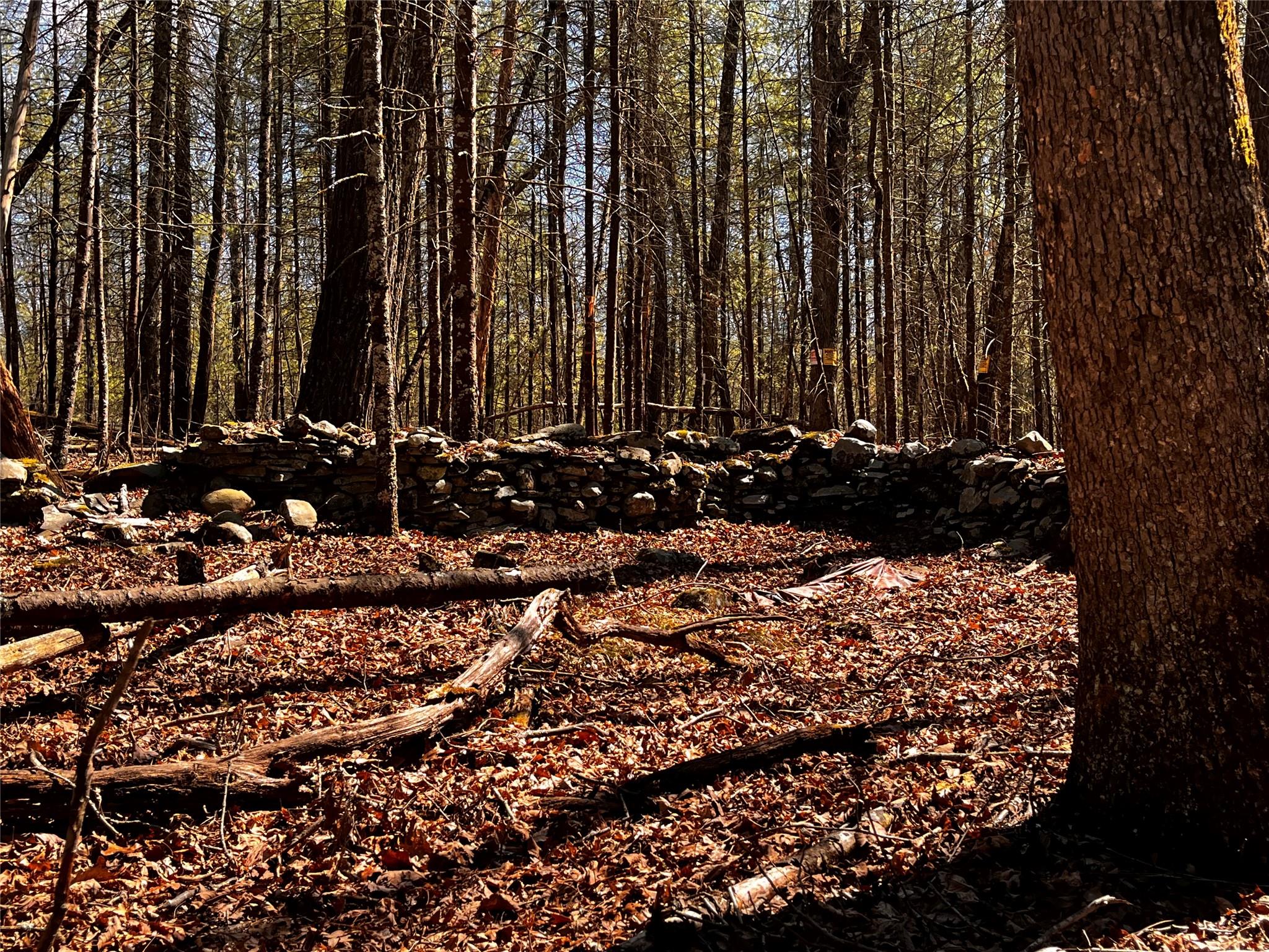 #19 photo, 1145 Glasco Turnpike, Saugerties , NY 12477