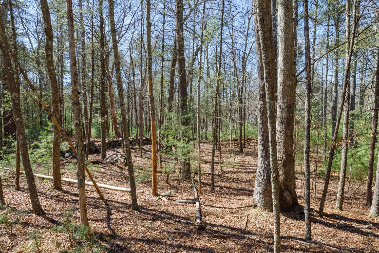 #6 photo, 1145 Glasco Turnpike, Saugerties , NY 12477