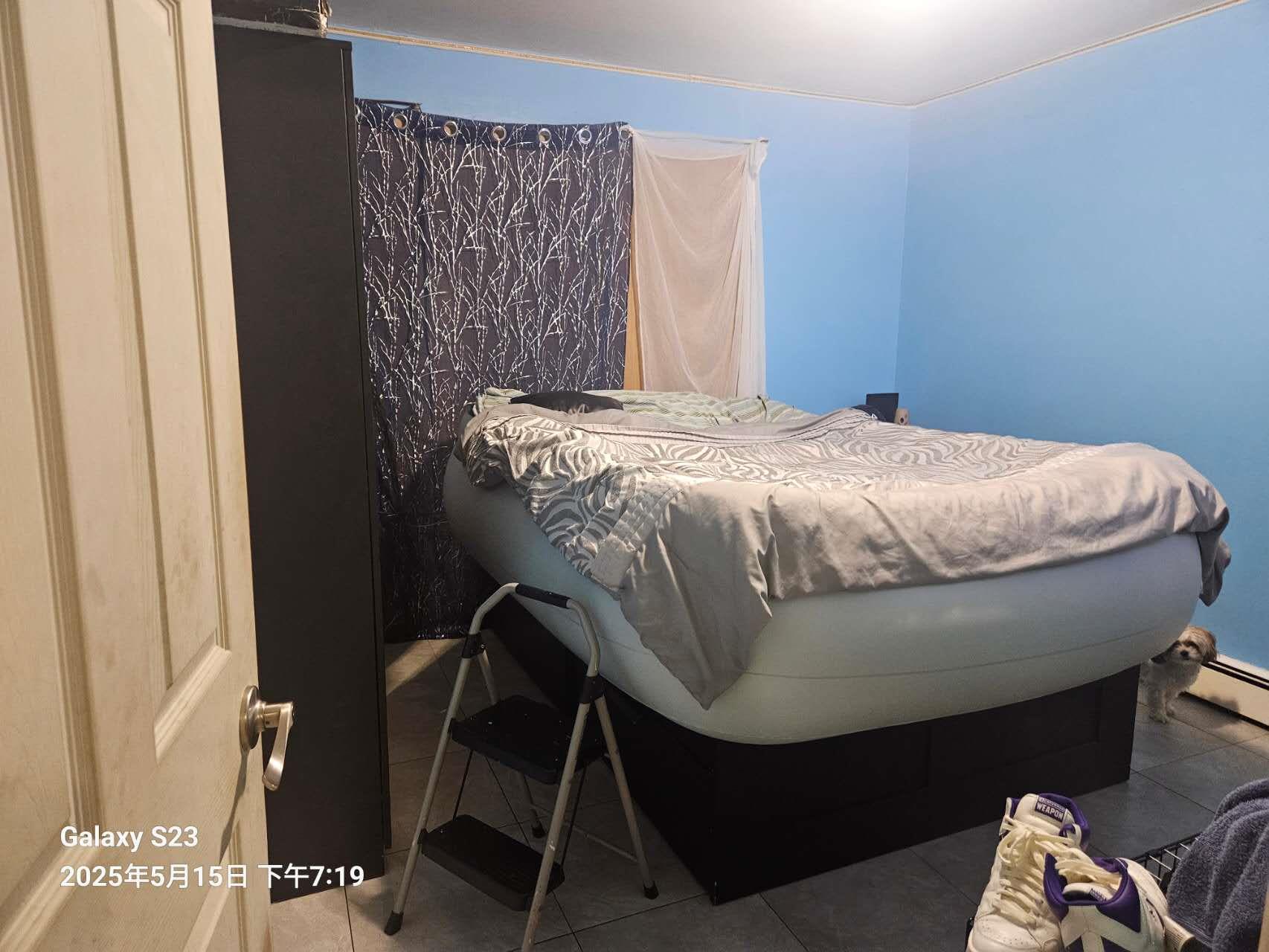 #9 photo, 57-12 164 Street, クイーンズ区 Flushing , NY 11365