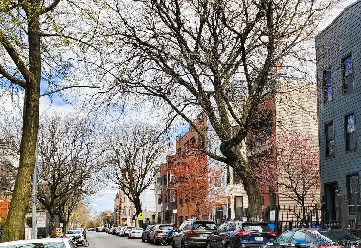 #2 photo, 964 Madison Street, Brooklyn , NY 11221