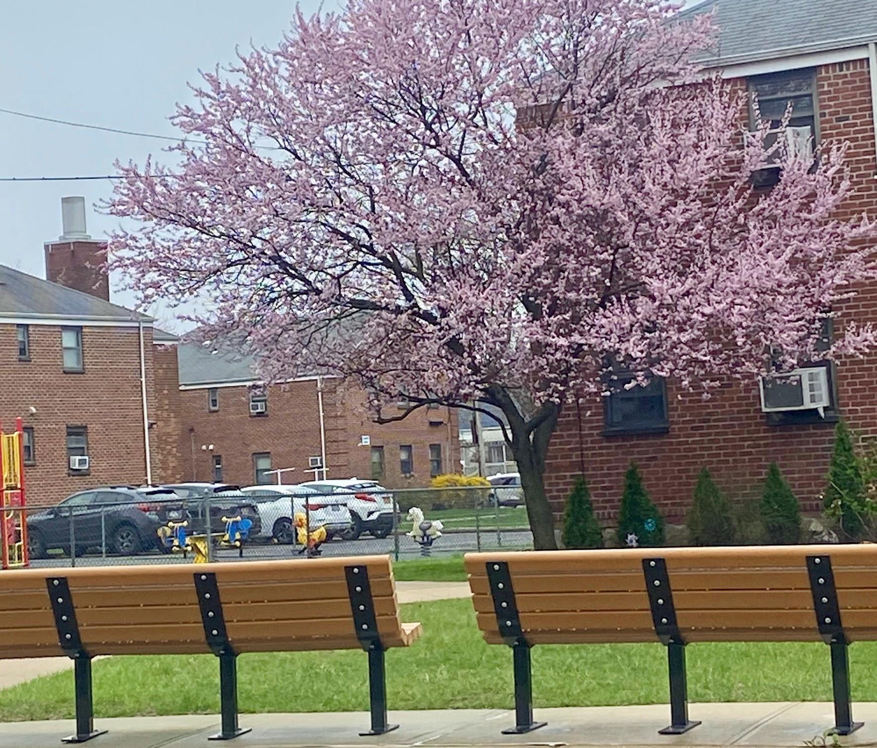 #16 photo, 166-30 17th Road, Whitestone , NY 11357