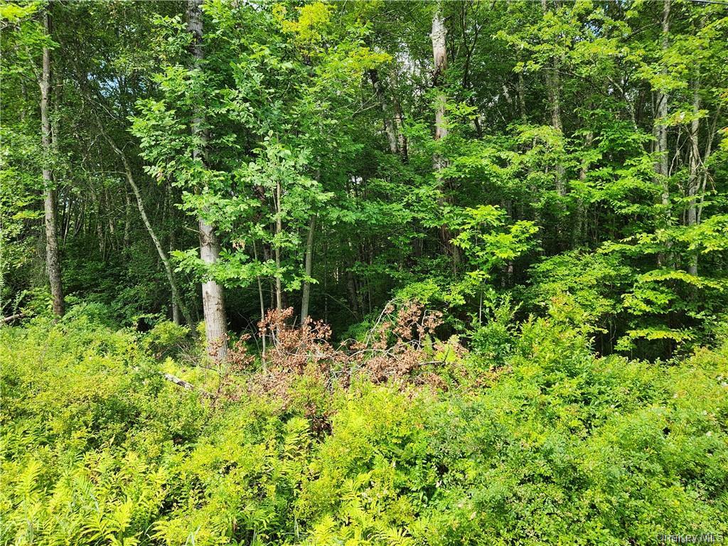 #3 photo, 2.-1-32.7 State Route 17B, Cochecton , NY 12726