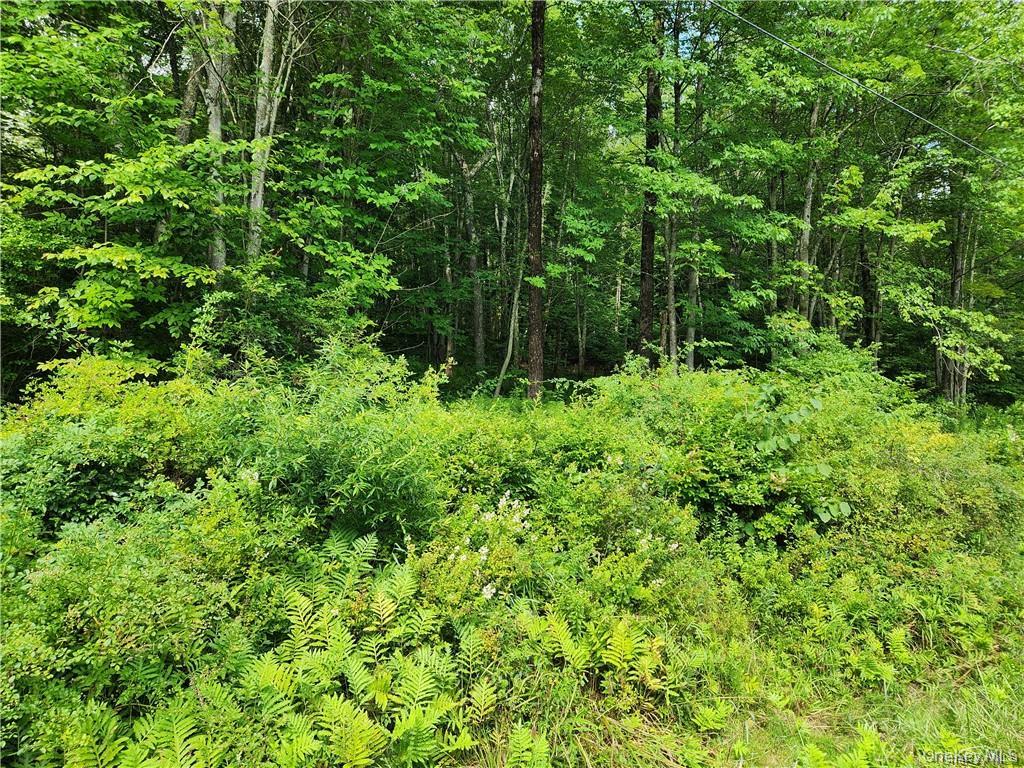 #4 photo, 2.-1-32.7 State Route 17B, Cochecton , NY 12726