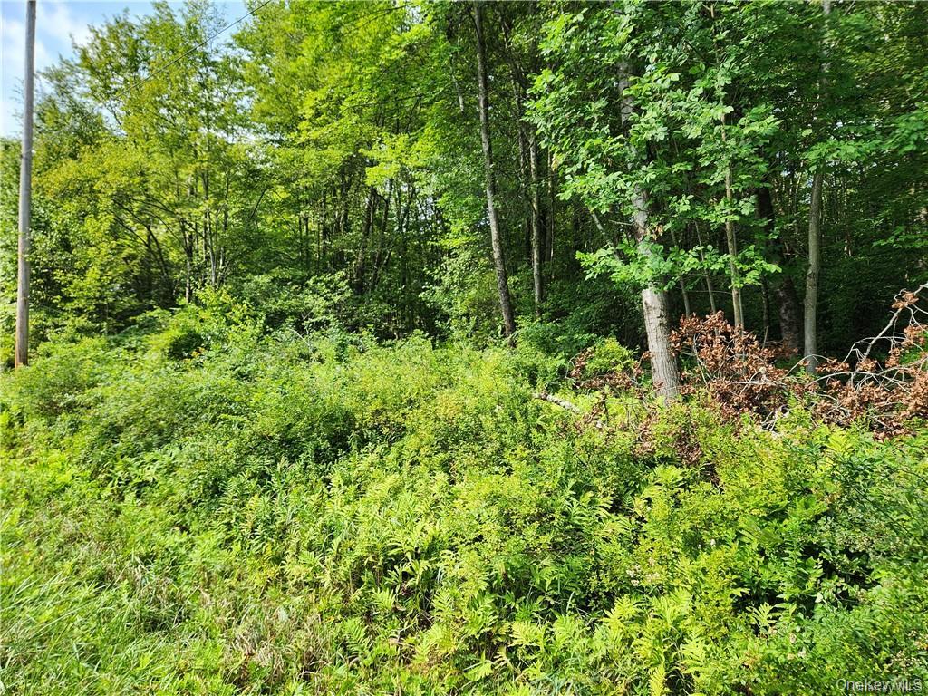 #5 photo, 2.-1-32.7 State Route 17B, Cochecton , NY 12726