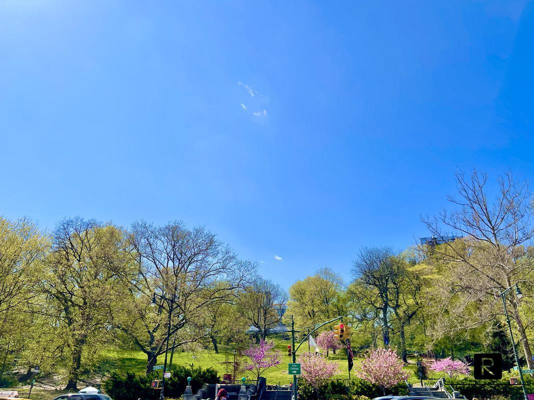 #15 photo, New York City, West Harlem , NY 10030