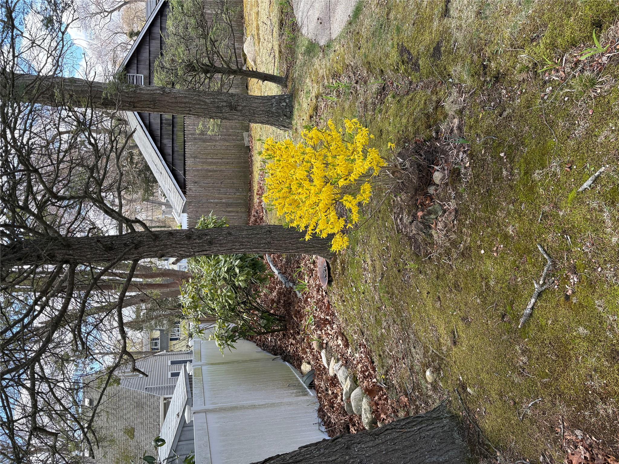 #12 photo, 8 Dee place, Huntington Station , NY 11746