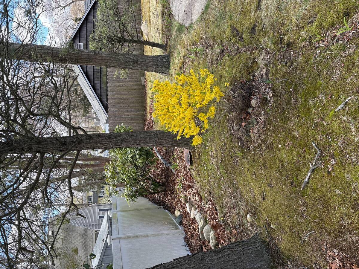 #11 photo, 8 Dee place, サフォーク郡 Huntington Station , NY 11746